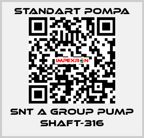 SNT A GROUP PUMP SHAFT-316 STANDART POMPA