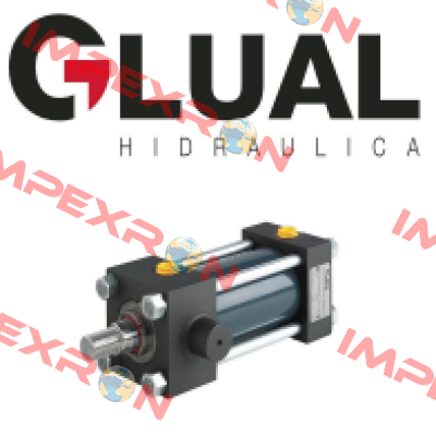 Seal kit for 160/125-100/80-60x3759 Glual Hydraulics