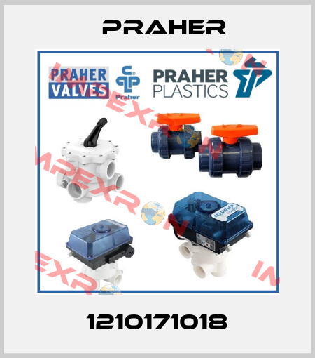 1210171018 Praher