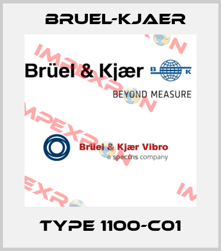 type 1100-C01 Bruel-Kjaer