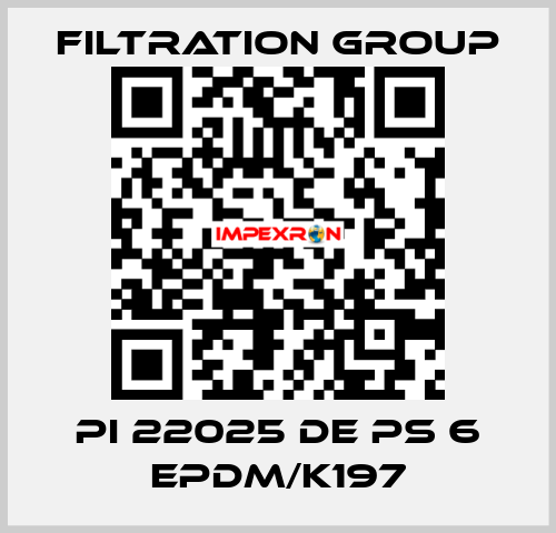 PI 22025 DE PS 6 EPDM/K197 Filtration Group