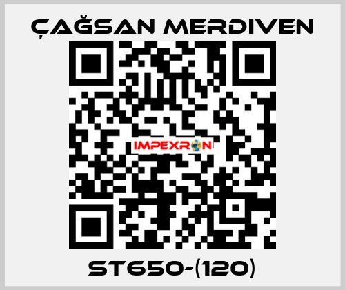 ST650-(120) Çağsan Merdiven