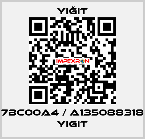7BC00A4 / A135088318 yigit Yiğit