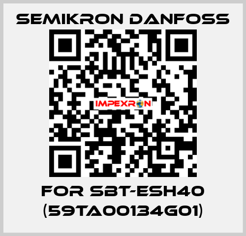 For SBT-ESH40 (59TA00134G01) SEMIKRON DANFOSS
