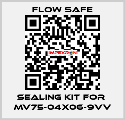 Sealing kit for  MV75-04X06-9VV Flow Safe