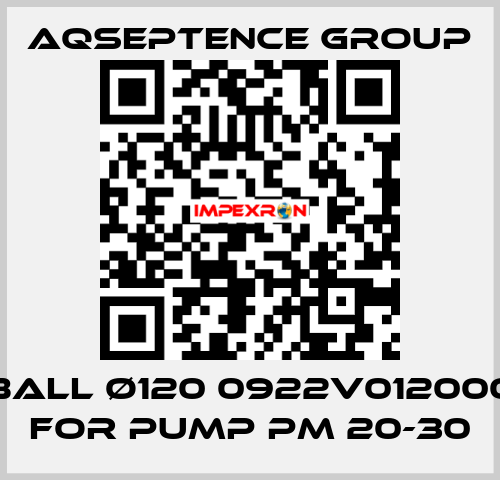 BALL ø120 0922V012000 FOR PUMP PM 20-30 AQSEPTENCE GROUP