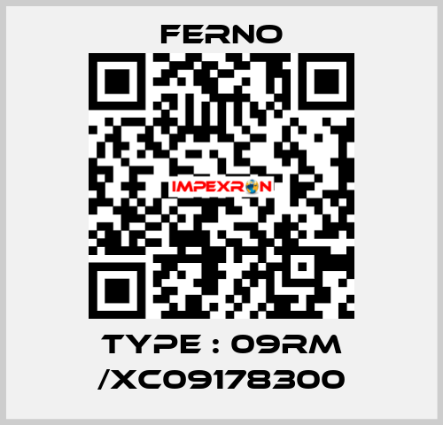 Type : 09RM /XC09178300 FERNO