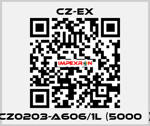 CZ0203-A606/1L (5000Ω) CZ-EX