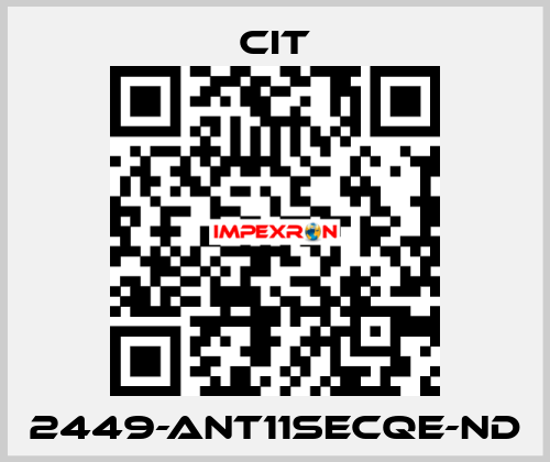 2449-ANT11SECQE-ND CIT