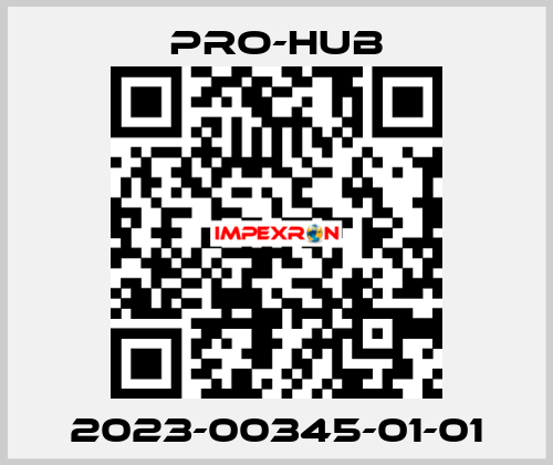 2023-00345-01-01 Pro-Hub