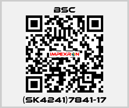 (SK4241)7841-17 BSC