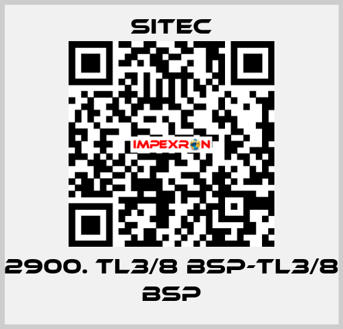 2900. TL3/8 BSP-TL3/8 BSP SITEC