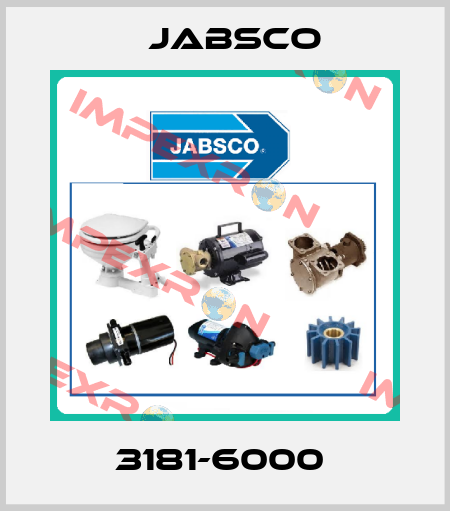 3181-6000  Jabsco