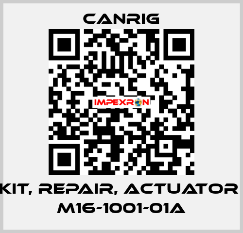 KIT, REPAIR, ACTUATOR  M16-1001-01A Canrig