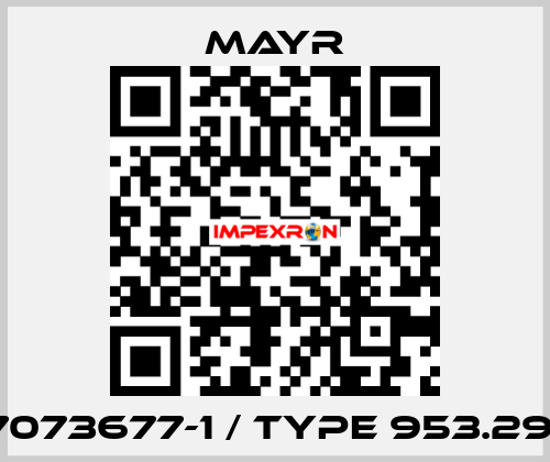 7073677-1 / Type 953.291 Mayr