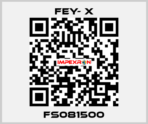 FS081500 FEY- X