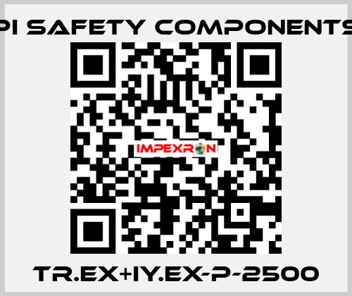 TR.Ex+IY.Ex-P-2500 Pi Safety Components