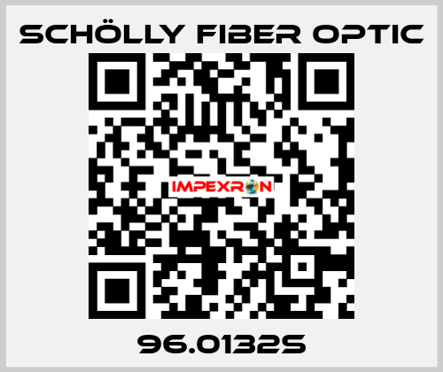 96.0132s SCHÖLLY FIBER OPTIC