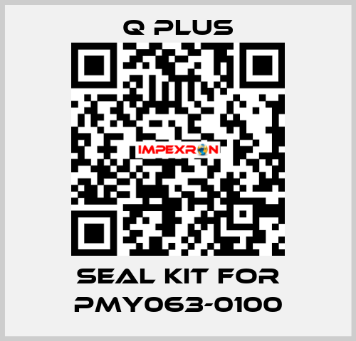 seal kit for PMY063-0100 Q Plus