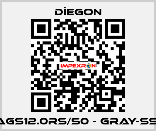 AGS12.0RS/S0 - GRAY-SSI DİEGON