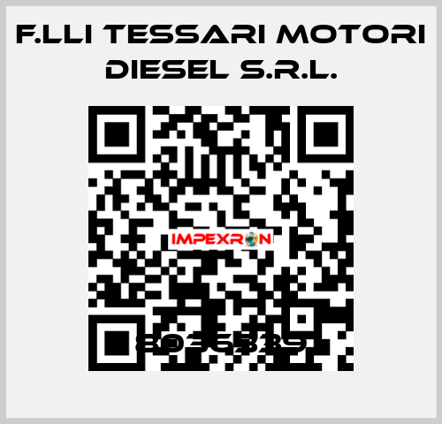 8036339 F.lli Tessari Motori Diesel S.r.l.