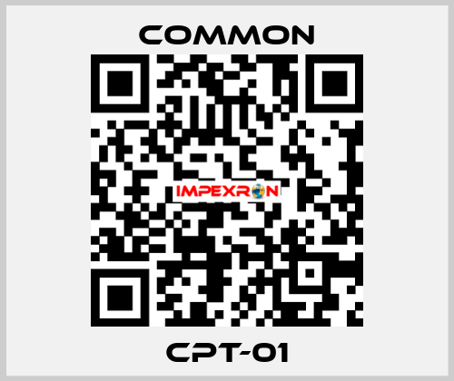 CPT-01 COMMON