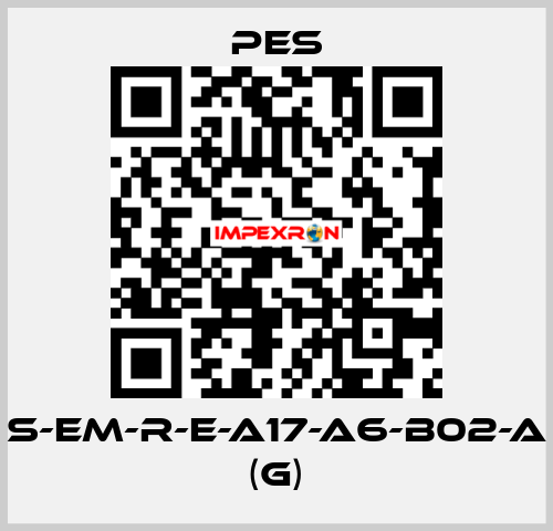 S-EM-R-E-A17-A6-B02-A (G) PES