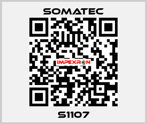 S1107 SOMATEC