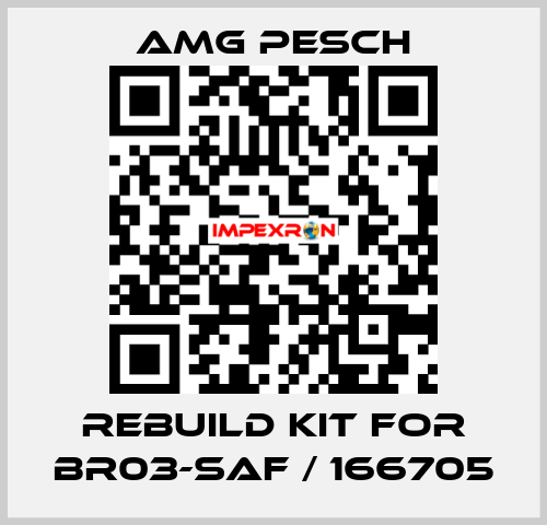 rebuild kit for BR03-SAF / 166705 AMG Pesch