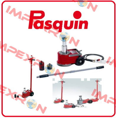 handle for P 250 C Pasquin