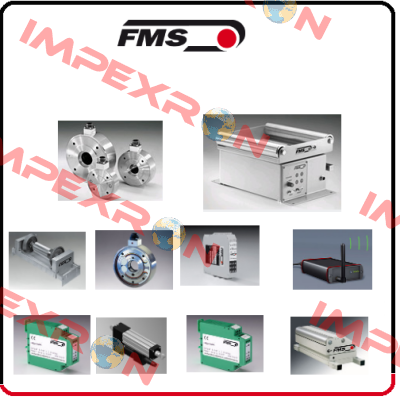 EMGZ307 Fms