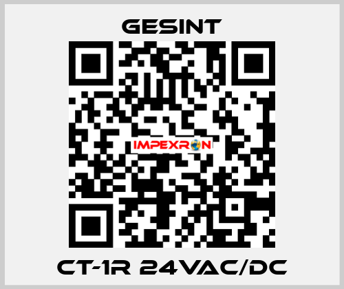 CT-1R 24VAC/DC Gesint
