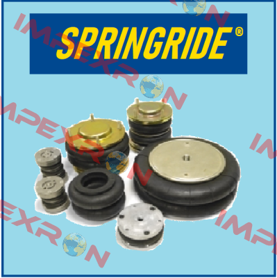 DF 8x2 Springride