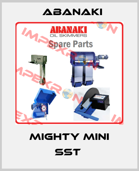 Mighty Mini SST  Abanaki
