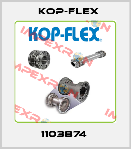 1103874  Kop-Flex