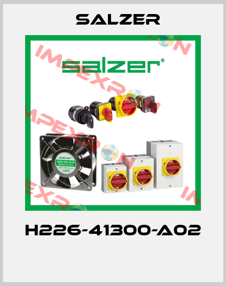 H226-41300-A02  Salzer