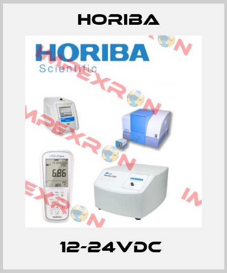 12-24VDC  Horiba