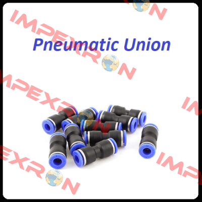 106.462.4.33.021  PNEUMATIC UNION