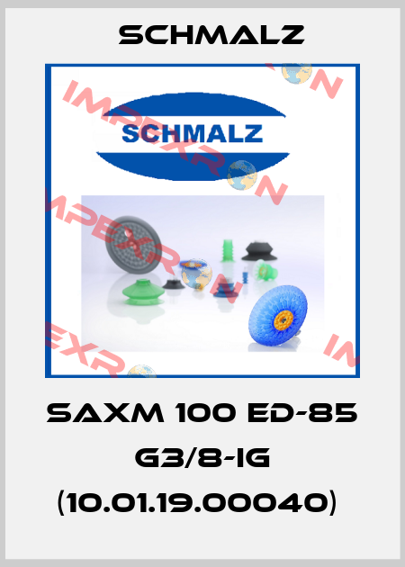 SAXM 100 ED-85 G3/8-IG (10.01.19.00040)  Schmalz