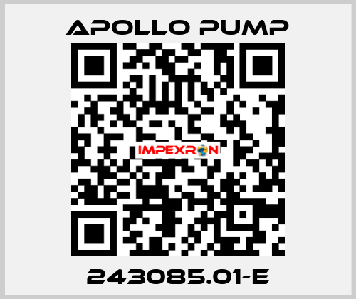 243085.01-E Apollo pump