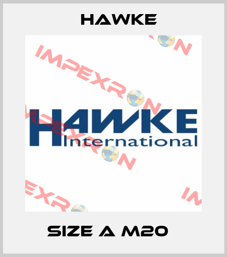 Size A M20   Hawke