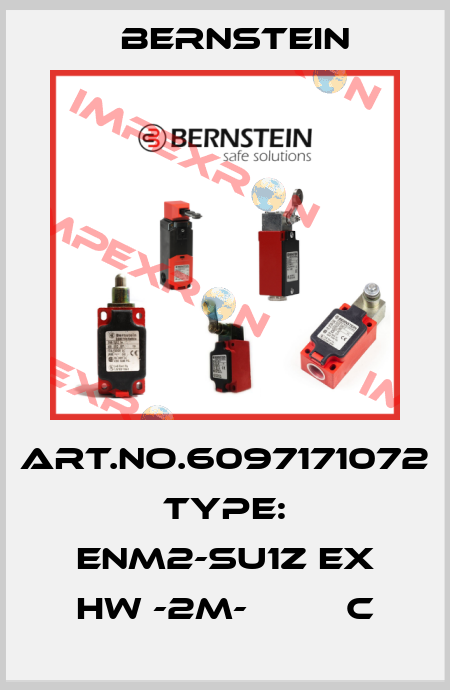 Art.No.6097171072 Type: ENM2-SU1Z EX HW -2M-         C Bernstein