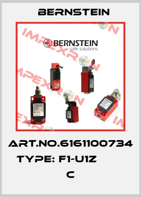 Art.No.6161100734 Type: F1-U1Z                       C Bernstein