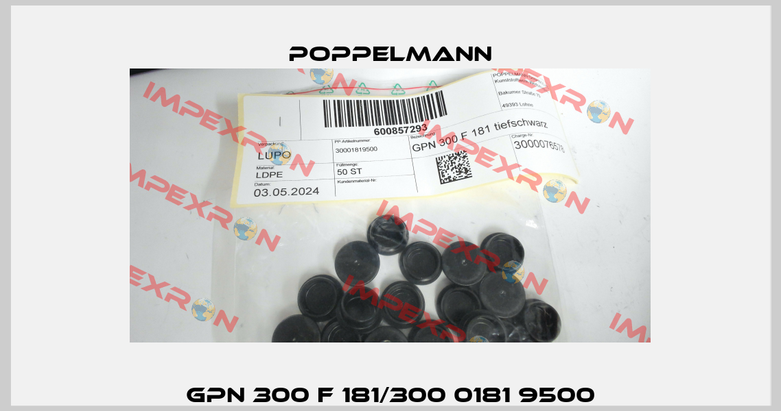 GPN 300 F 181/300 0181 9500 Poppelmann