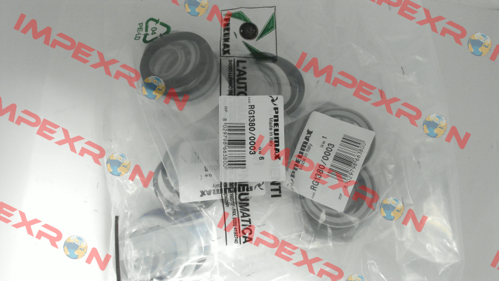 RG1380/0003 Pneumax