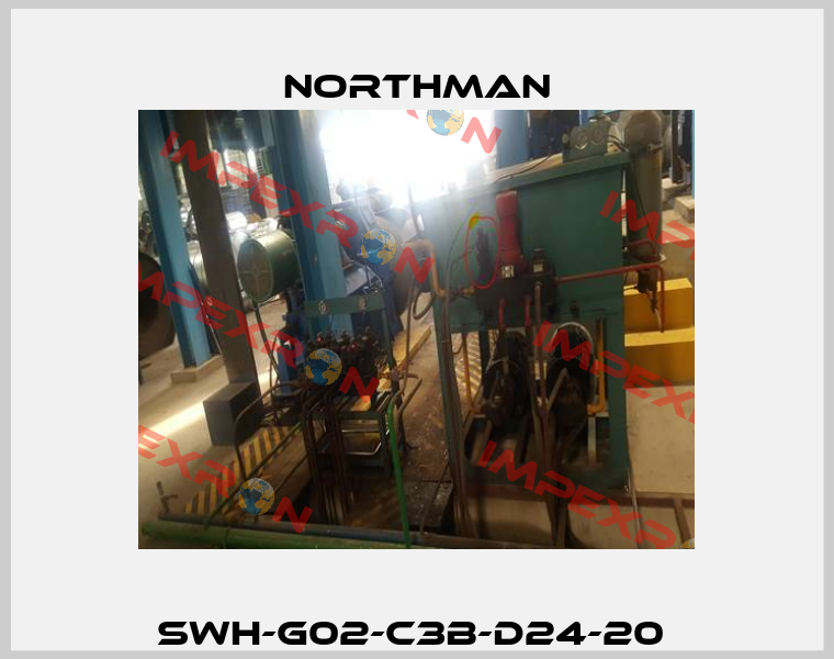SWH-G02-C3B-D24-20  Northman