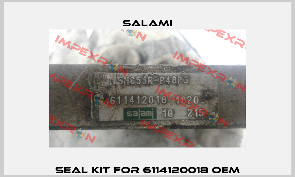 seal kit for 6114120018 oem Salami