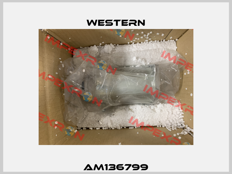 AM136799 Western