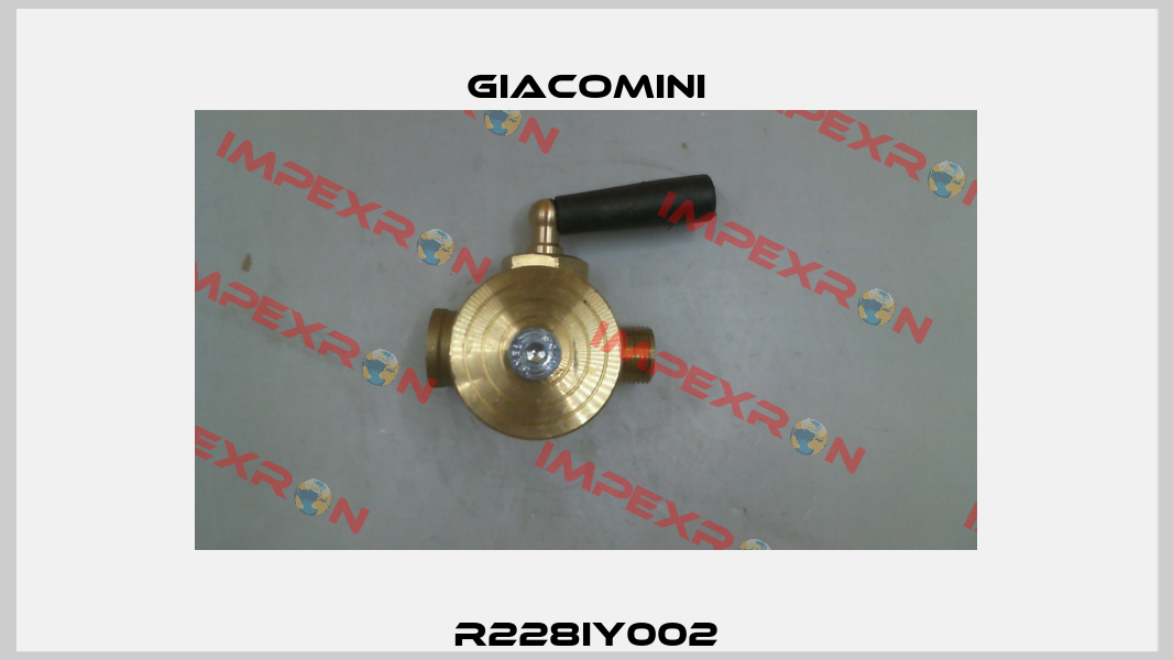 R228IY002 Giacomini