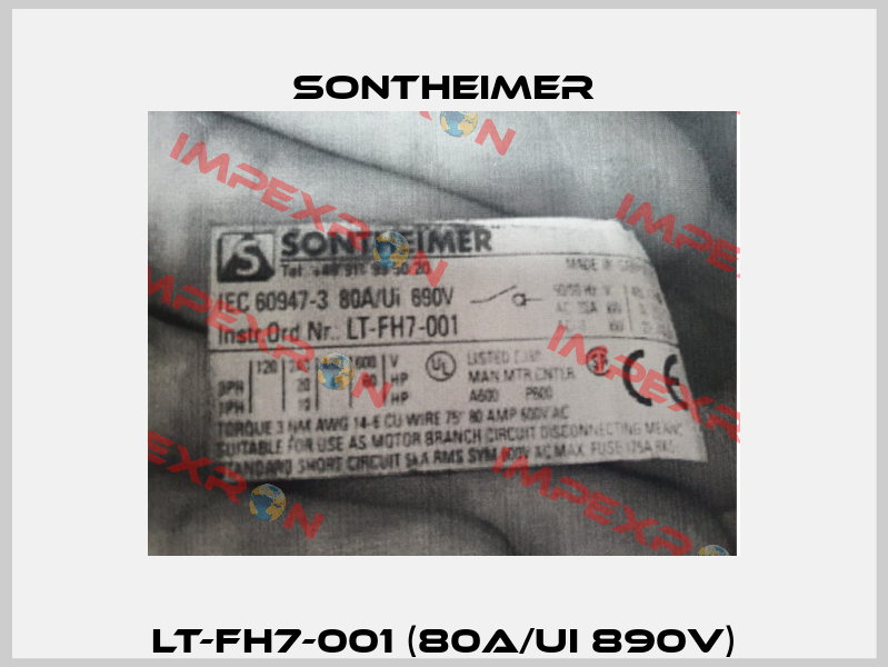 LT-FH7-001 (80A/Ui 890V) Sontheimer